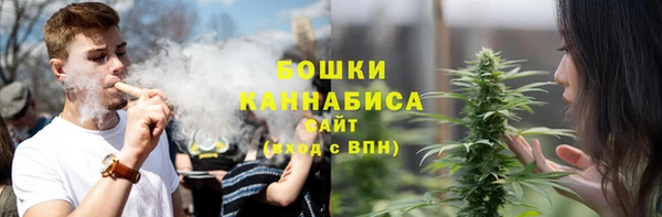 прущие крисы Заводоуковск