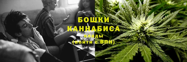 прущие крисы Заводоуковск