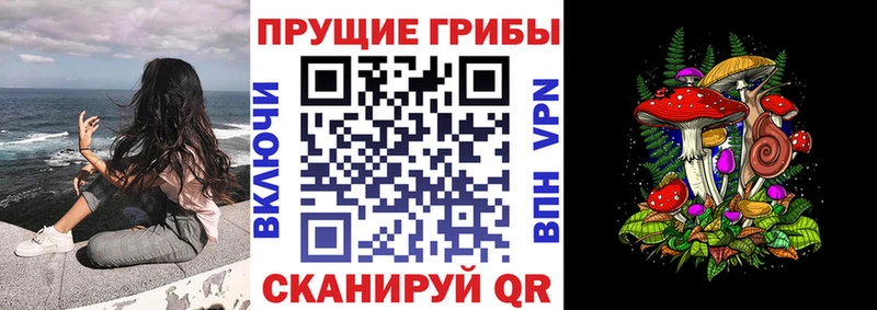 Псилоцибиновые грибы Magic Shrooms  Купить  Черкесск 