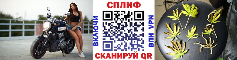 Купить закладки  Черкесск  Конопля White Widow 